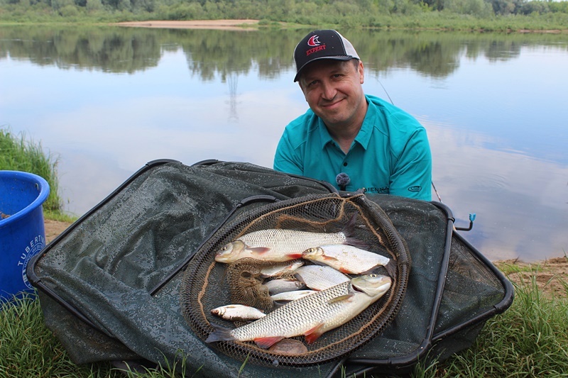 FEEDER W UBOGIEJ NARWI