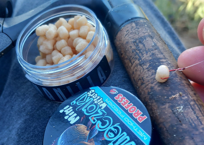 MIĘCZAKI – NOWY TYP PRZYNĘT. PIERWSZE WRAŻENIE