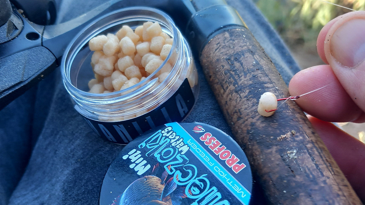 MIĘCZAKI – NOWY TYP PRZYNĘT. PIERWSZE WRAŻENIE