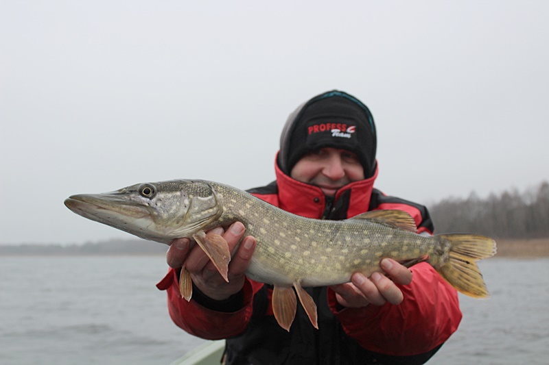 GRUDNIOWY SZCZUPAK – RELACJA SPINNINGOWA