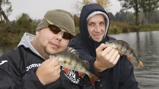 PAŹDZIERNIKOWE OKONIE!