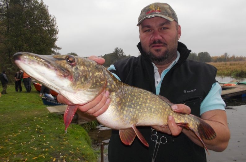 TOWARZYSKIE ZAWODY SPINNINGOWE – 24-25 .X. 2015r – STRZYŻE