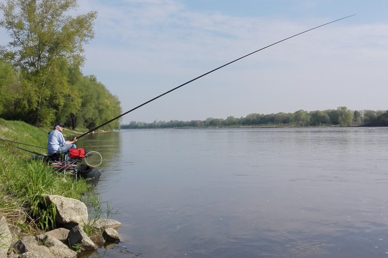 MAJÓWECZKA W ŚRODKU STOLICY