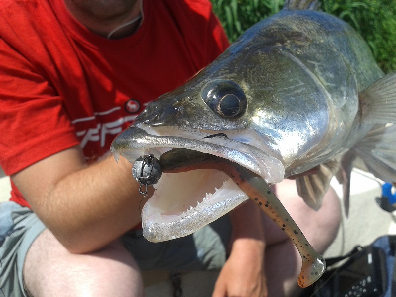 “EURO Z SANDACZAMI”.