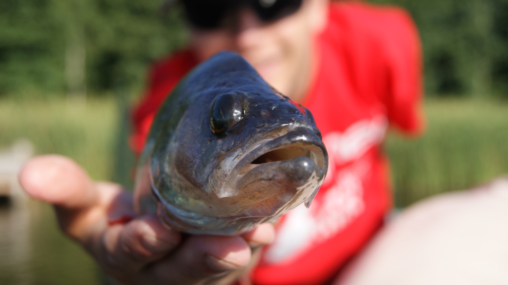 OKONIE W SILIKONIE CZYLI TEST GUM NA PASIAKI