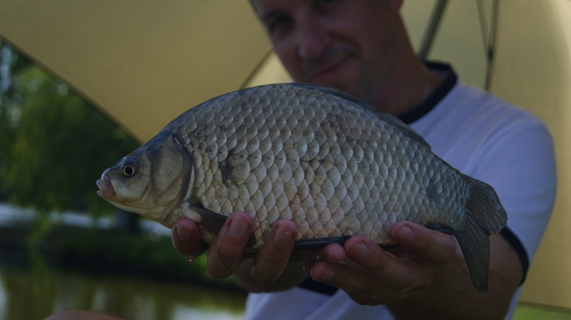 O KARASIOWEJ METHODZIE SŁÓW KILKA