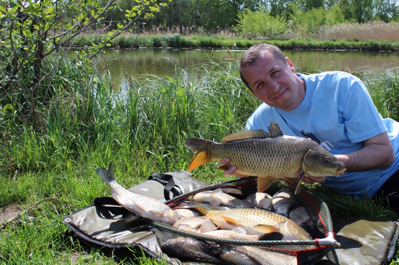 PRAWIE ANGIELSKIE KARPIE.