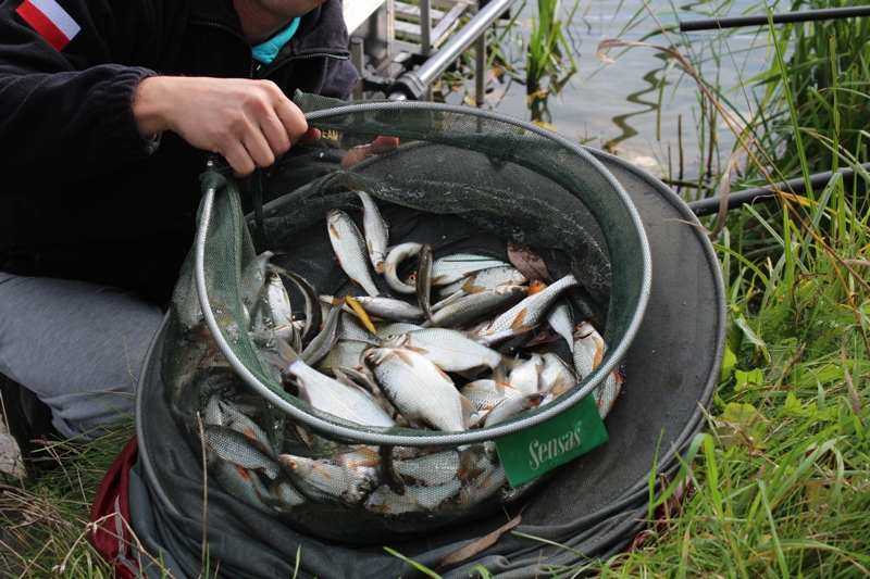 CO NOWEGO NA “NOWEJ”, ŁOWIMY PAŹDZIERNIKOWE PŁOTKI.