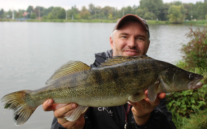 “PIEPRZONY” FEEDER