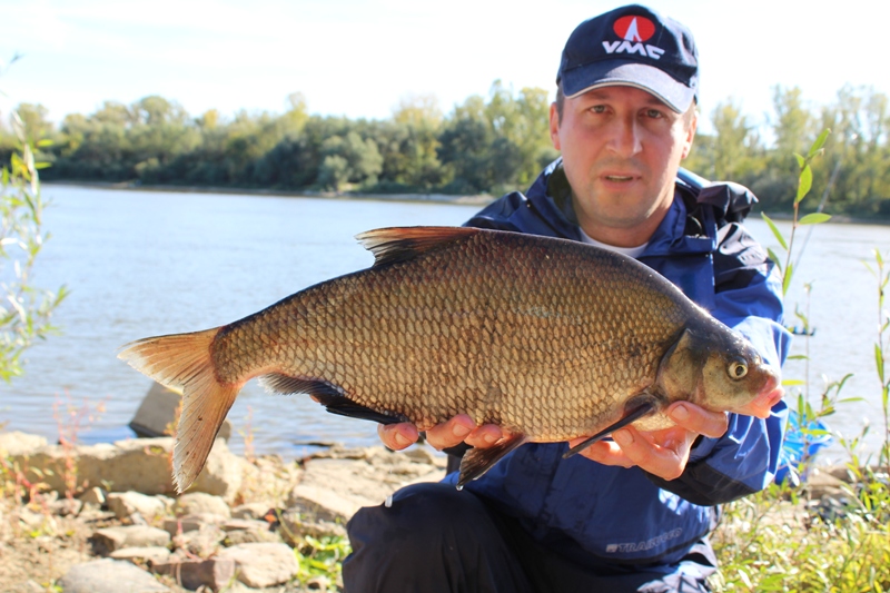 FEEDER Z WIŚLANEJ OPASKI