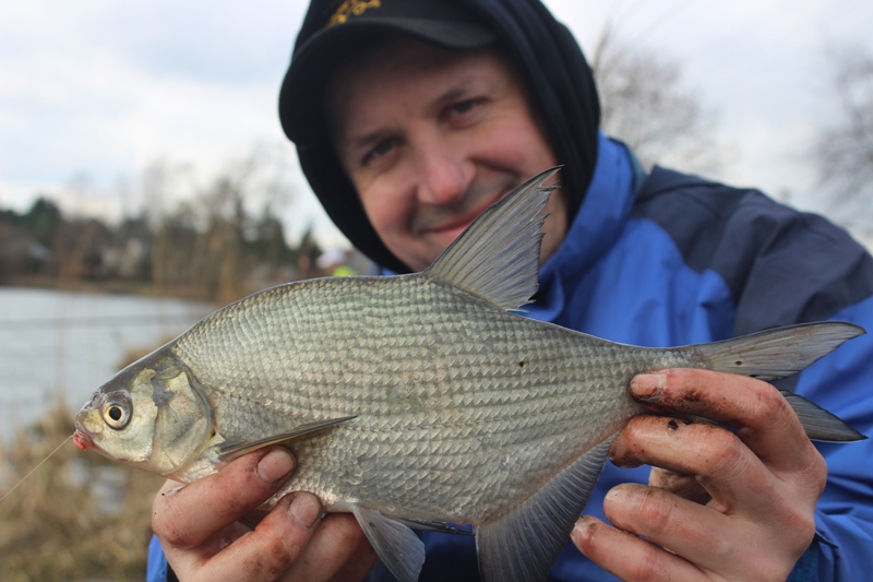 WIETRZNE PICKEROWANIE