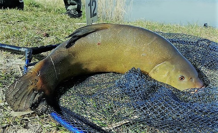 BEZ BONUSA ANI RUSZ – RELACJA Z ZAWODÓW