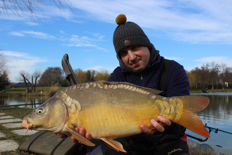 METHOD FEEDER NA PRZEDWIOŚNIU