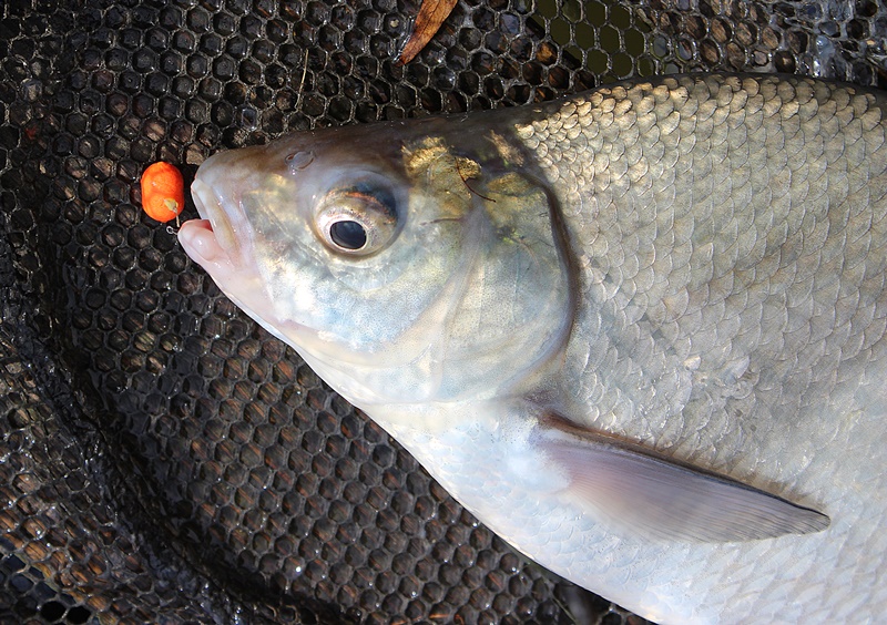 METODA NA PRZEŁAMANIE