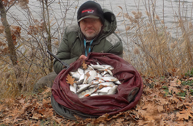 ZIMOWE PŁOTKI  Z GŁĘBIN