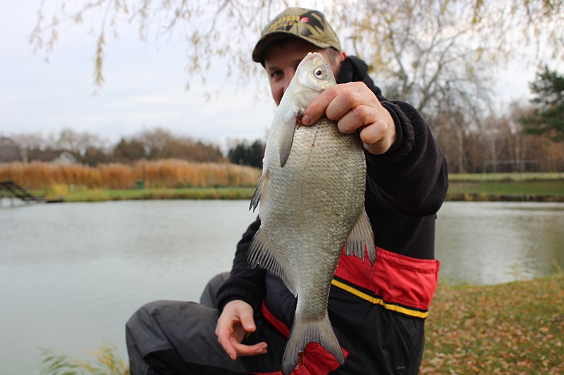 METHODA NA ZIMOWEGO LESZCZA