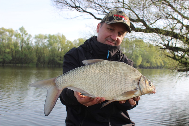 FEEDER NA WIŚLANYM STARORZECZU