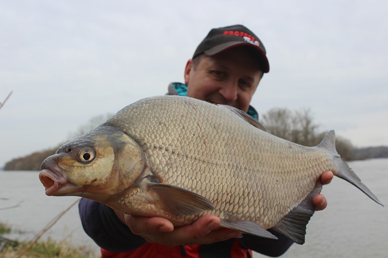 JAK ŁOWIĆ FEEDEREM PODCZAS RZECZNEGO PRZYBORU?